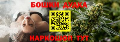 МДПВ Будённовск