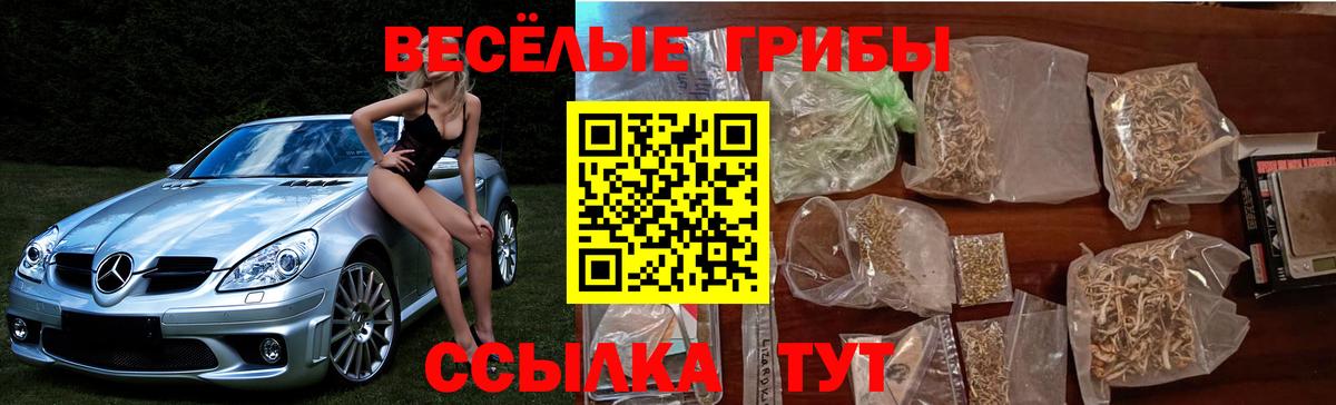 Псилоцибиновые грибы мухоморы  Вход с VPN  Раменское 